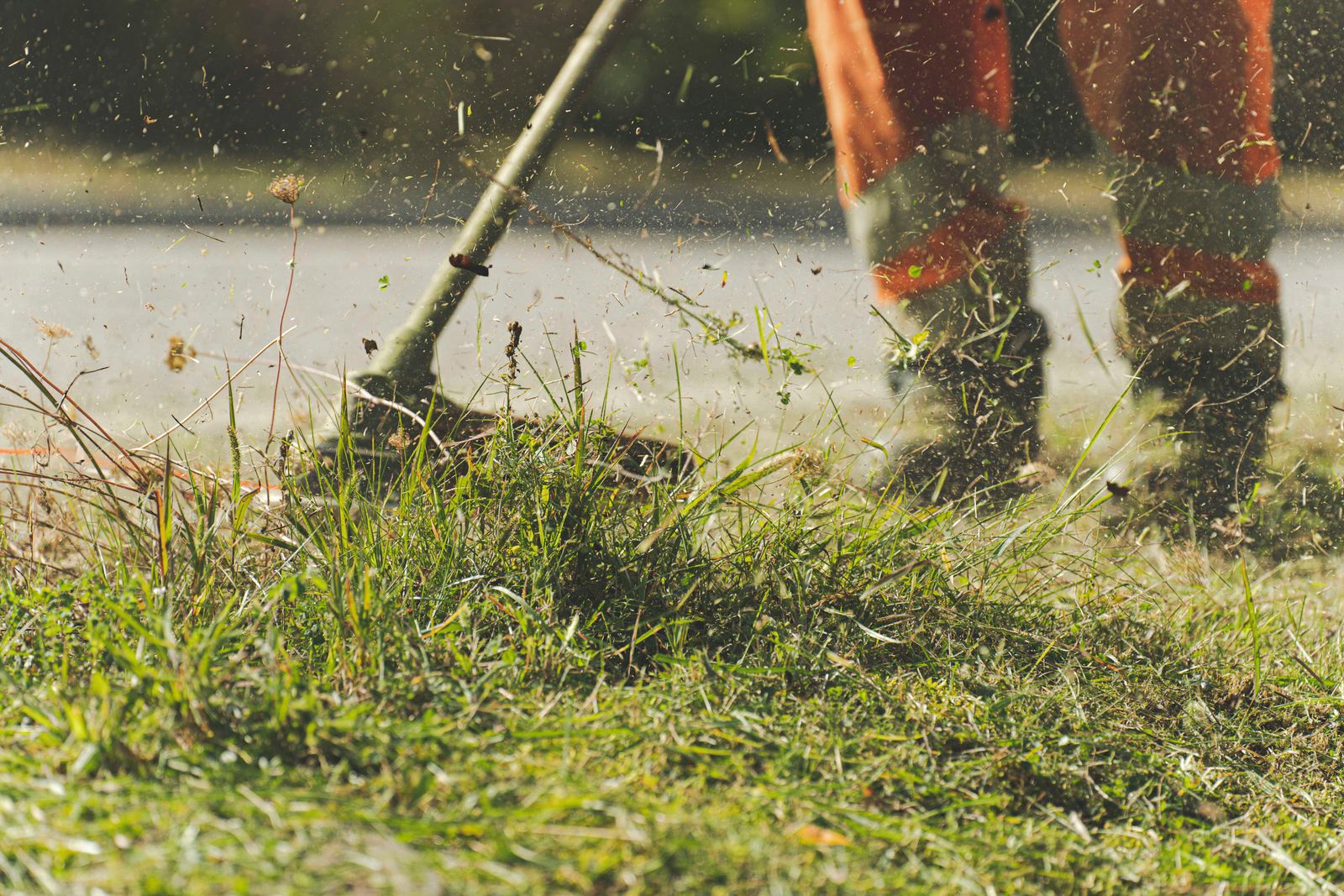A person mowing a garden lawn
