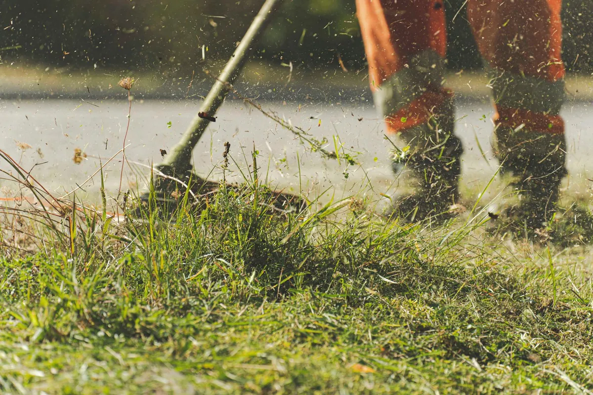 Hands-on maintenance of a real garden lawn