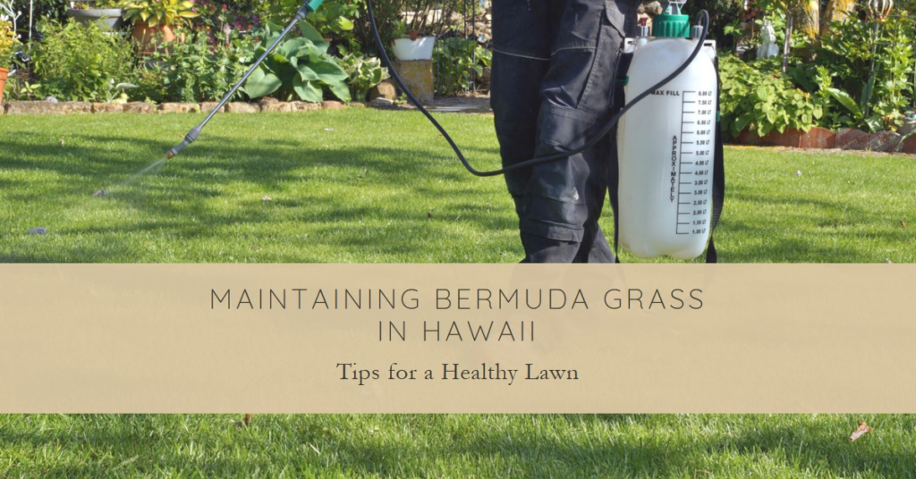 Maintaining Bermuda Grass in Hawaii