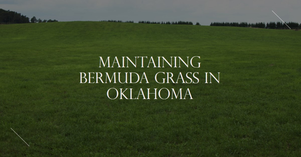 12Month Plan for Maintaining Bermuda Grass in Oklahoma Coast to