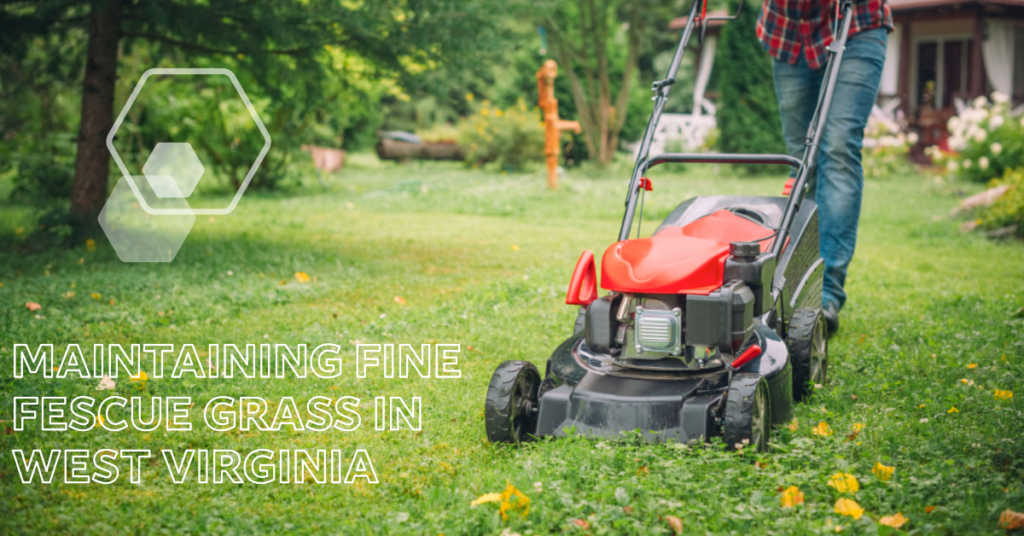 Maintaining Fine Fescue Grass in West Virginia