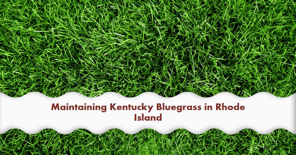 Maintaining Kentucky Bluegrass in Rhode Island