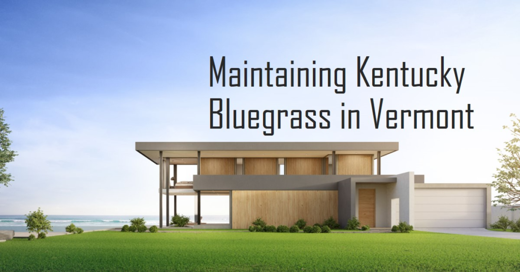 Maintaining Kentucky Bluegrass in Vermont