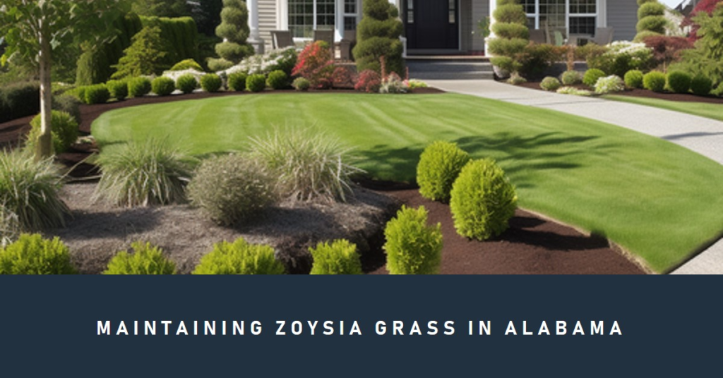 Maintaining Zoysia Grass in Alabama