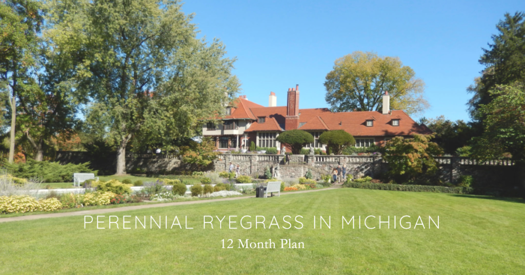 Perennial Ryegrass in Michigan